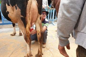 Los Llanos celebra el día grande de sus fiestas (Foto TA)